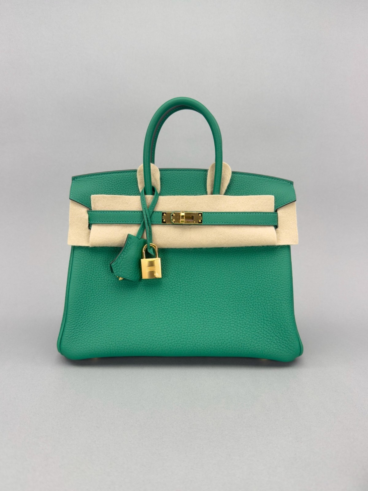 Hermes Birkin 25 Retourne Togo Vert Vertigo Gold Hardware W Stamp 2025