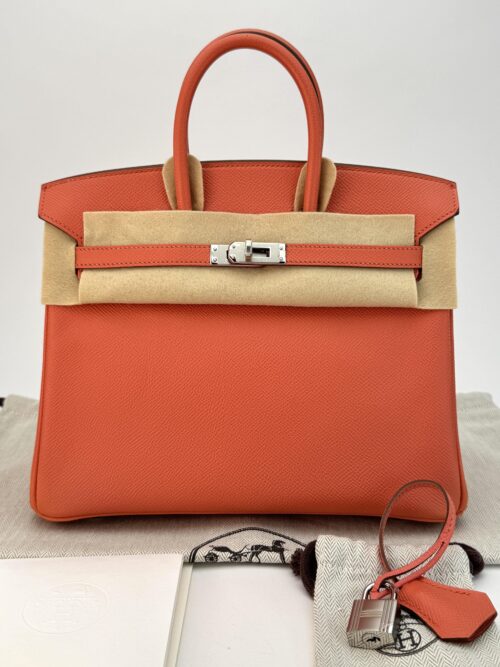 Hermes Birkin 25 Epsom Crevette Palladium Hardware Square R Stamp