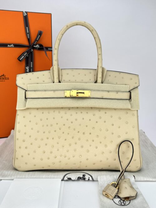 Hermes Birkin 30 Retourne Ostrich Parchemin Gold Hardware A Stamp
