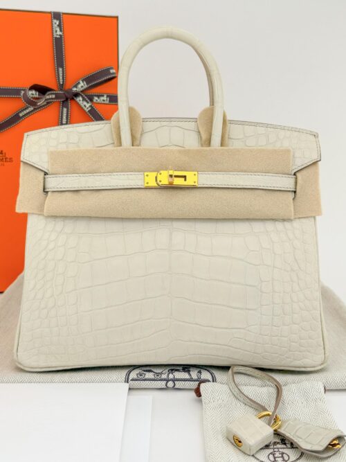 Hermes Birkin 25 Retourne Matte Alligator Beton Gold Hardware U Stamp Unworn