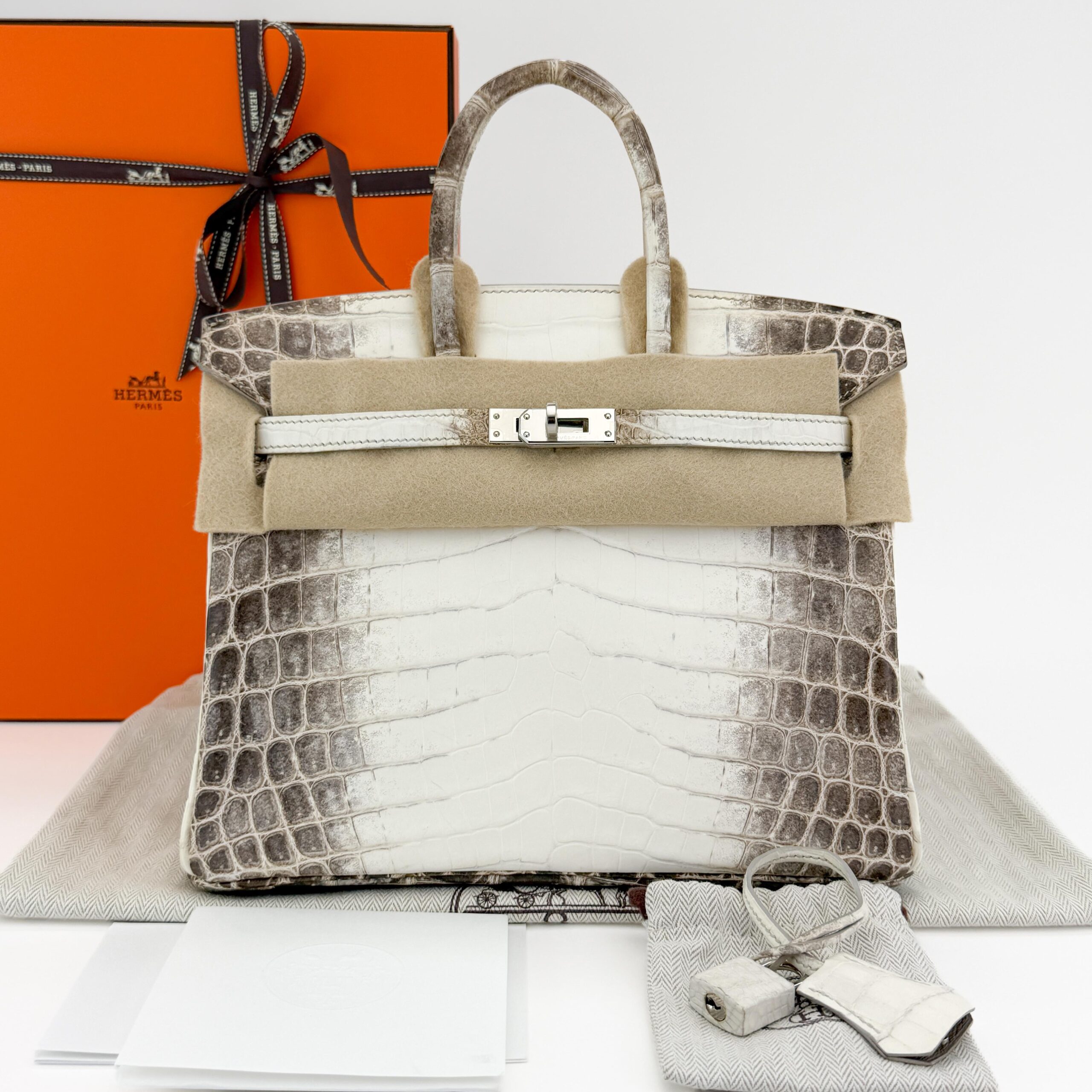 Hermès Birkin 25 Matte Crocodile Himalaya Palladium Hardware X Stamp